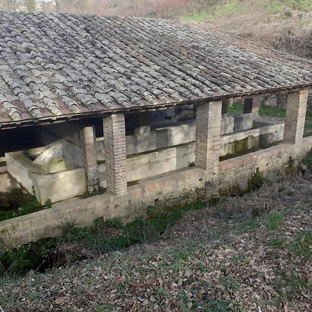 Casa Di Zio Villa Monticiano Rum bild