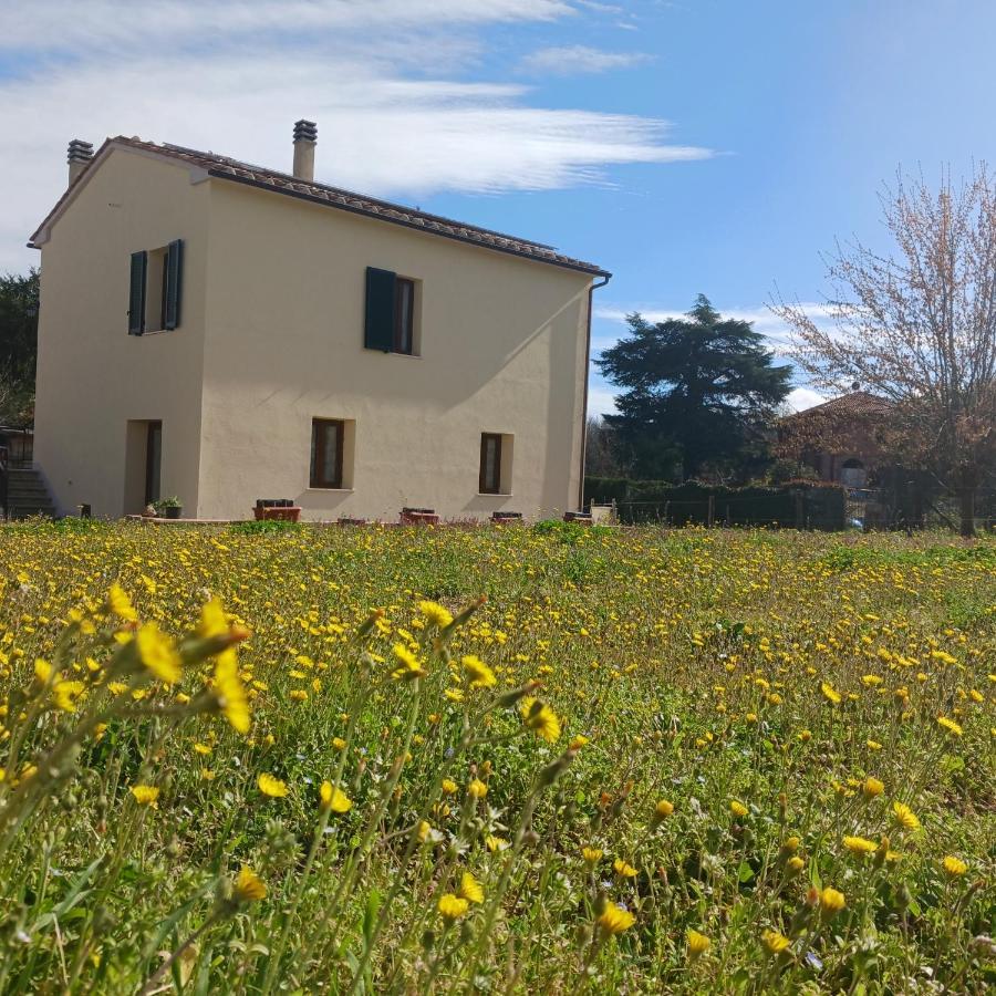 Casa Di Zio Villa Monticiano Exteriör bild
